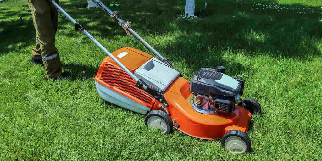 Tips for Protecting Your Chattanooga Lawn During the Peak of Summer Heat