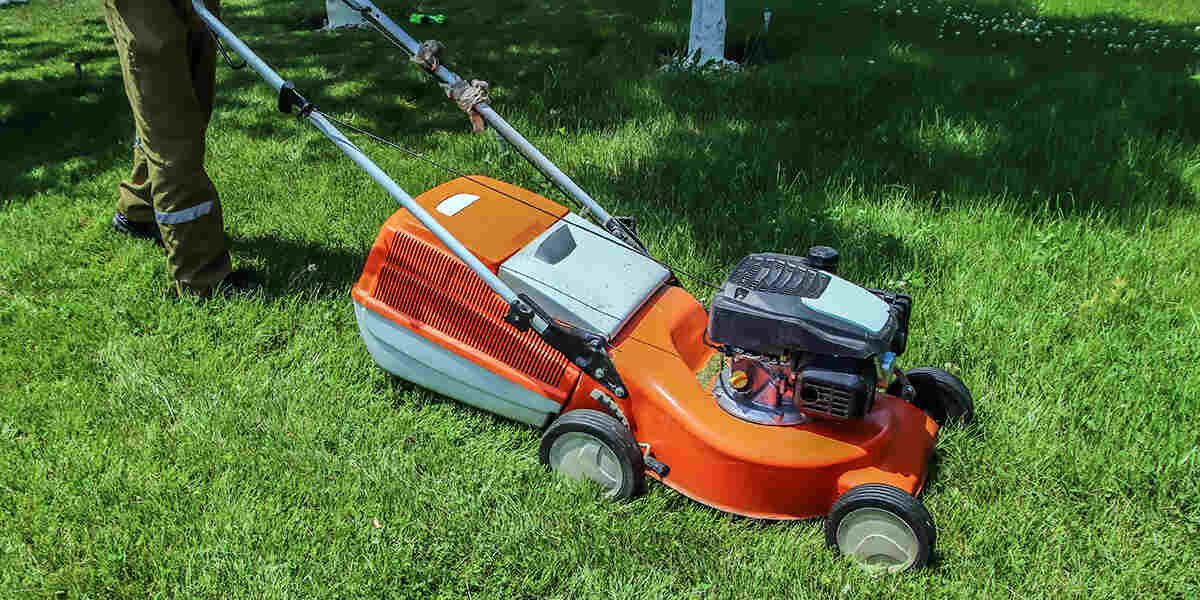 summer lawn care