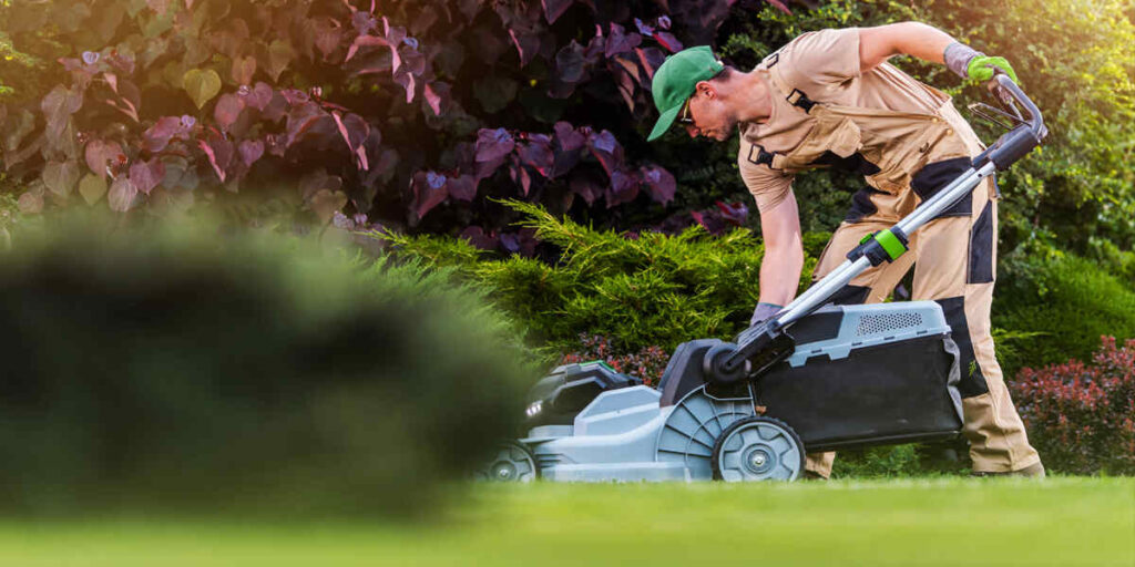 Five Key Benefits of Regular Lawn Maintenance Services in Chattanooga